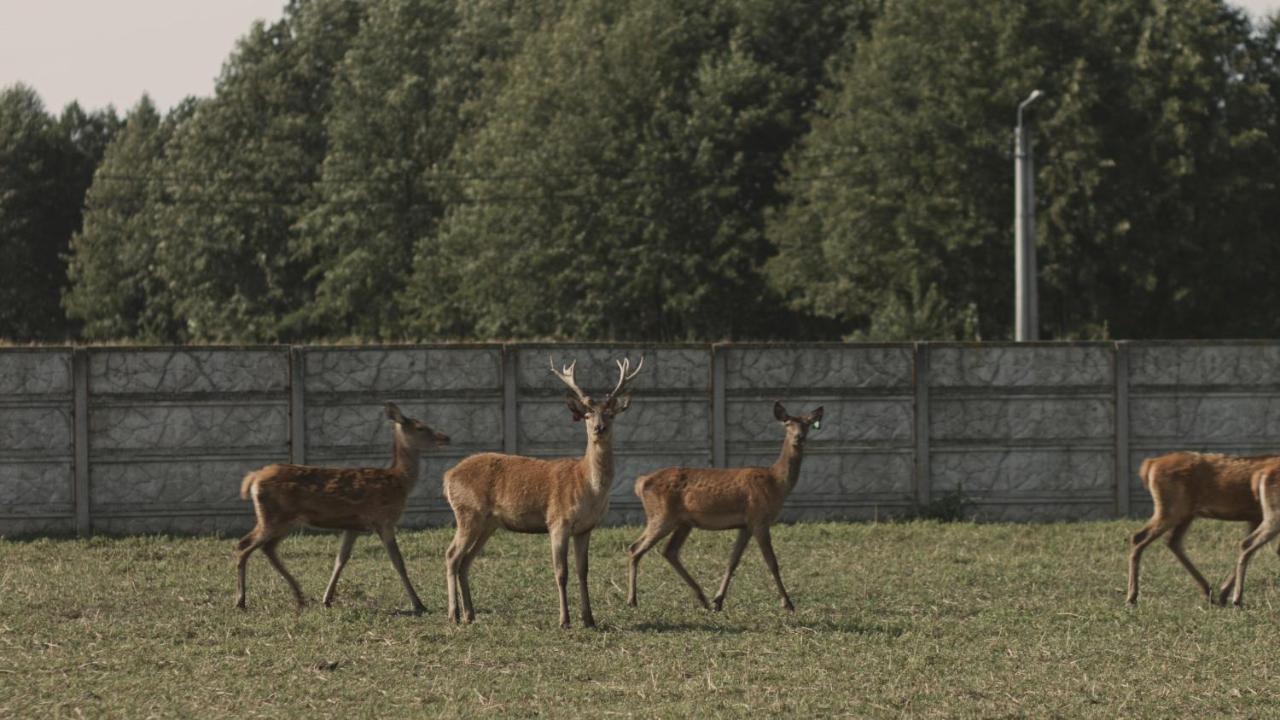 Tatarska Zagroda - Agroturystyka Dolina Baryczy Noclegi - Domek Jelonek Krosnice Eksteriør billede