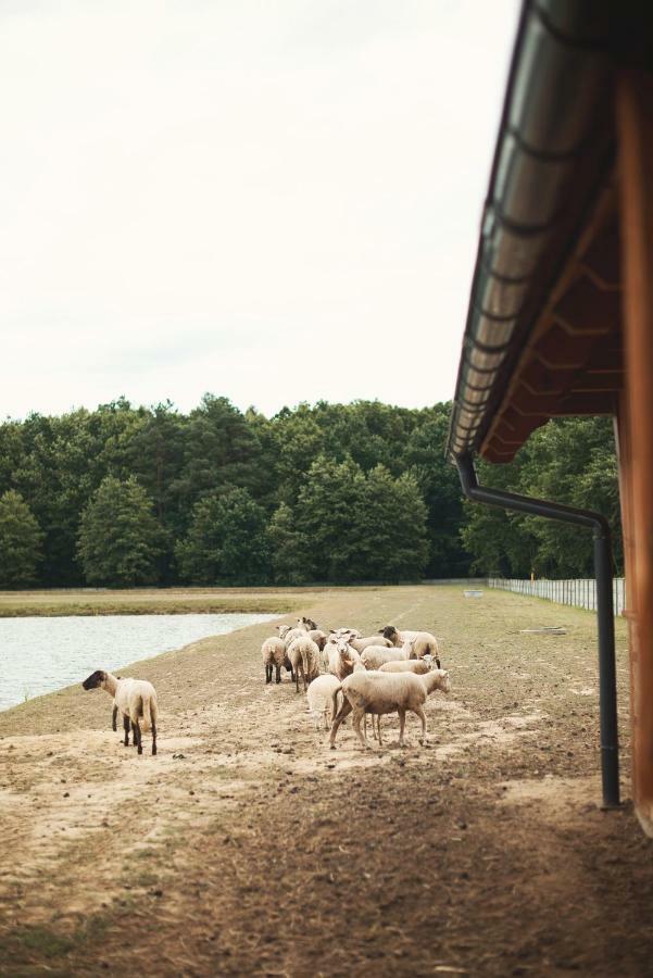Tatarska Zagroda - Agroturystyka Dolina Baryczy Noclegi - Domek Jelonek Krosnice Eksteriør billede